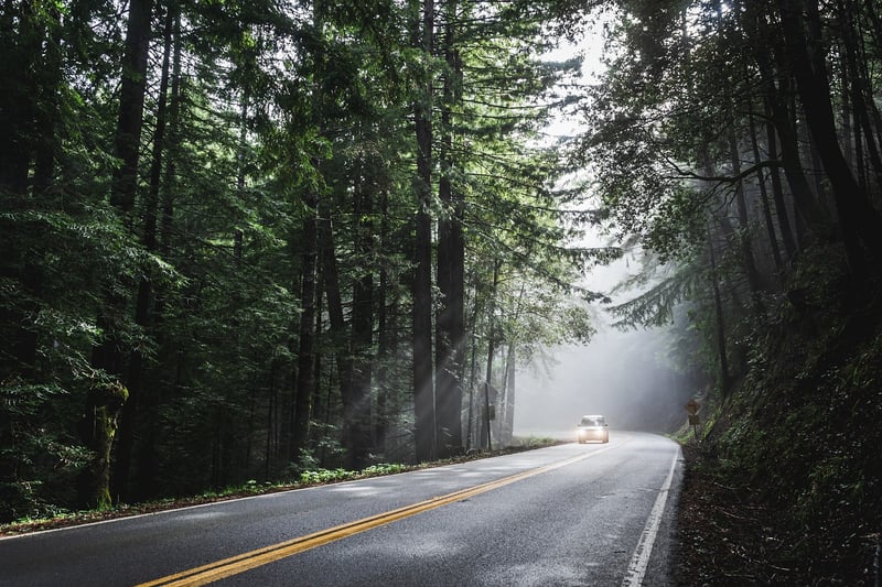 Road Trips