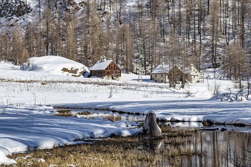 Forest Cabins